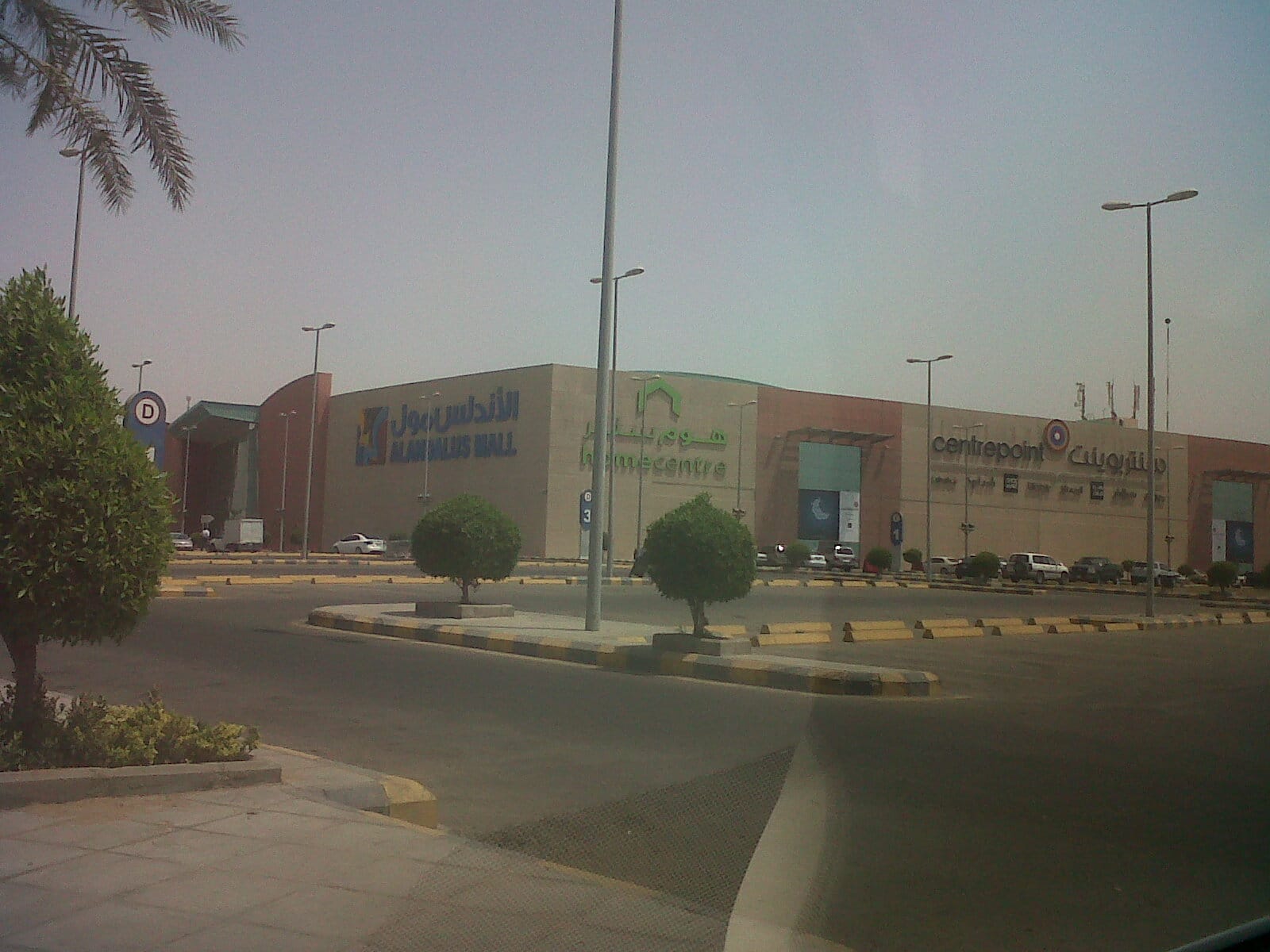 Coffee bean and tea leaf photo 2