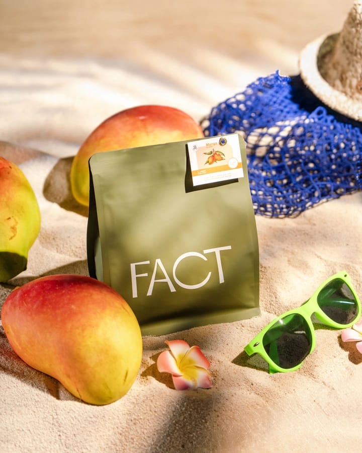 Fact roastery - محمصة فاكت photo 8
