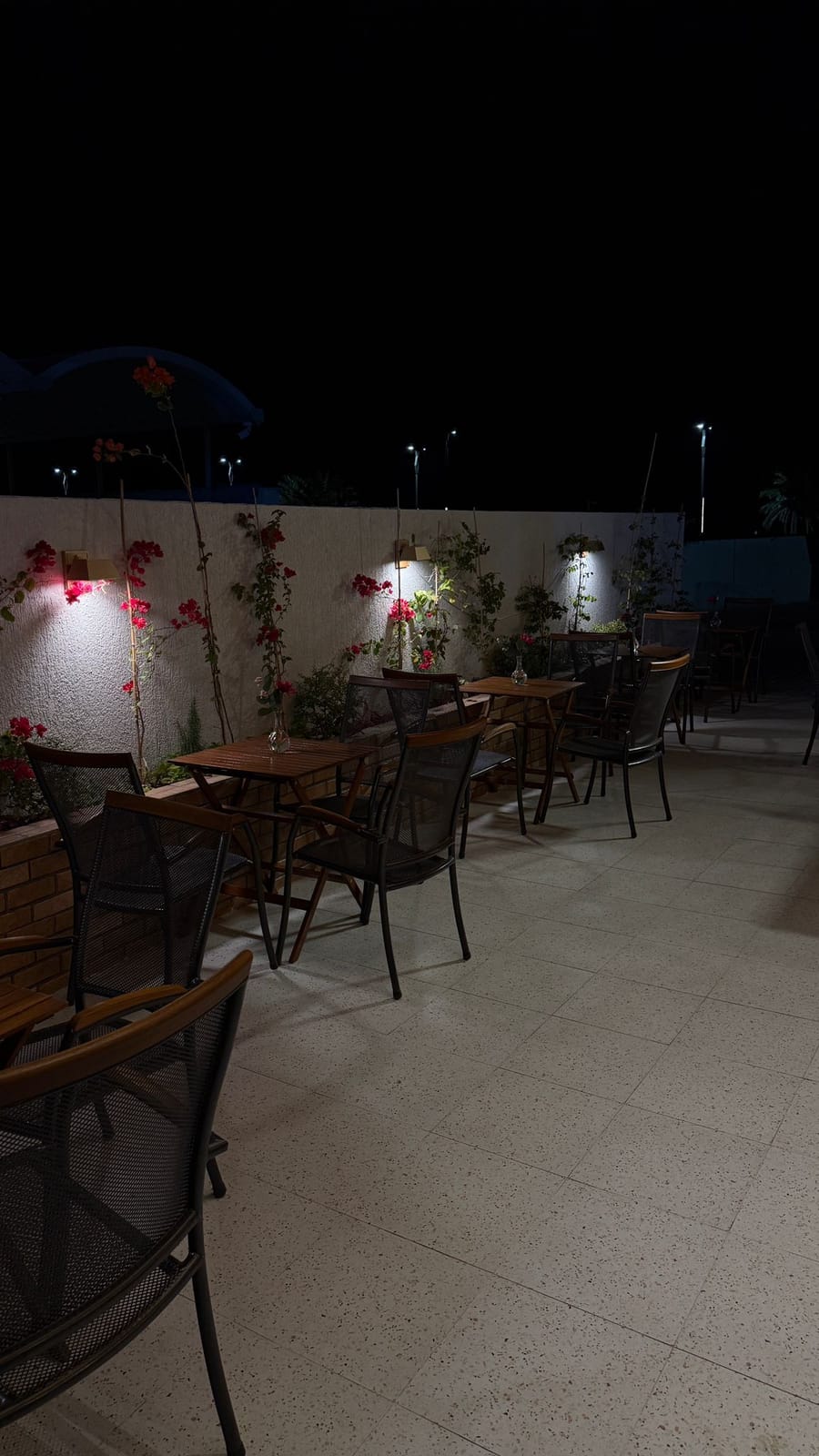 Stammi Cafe