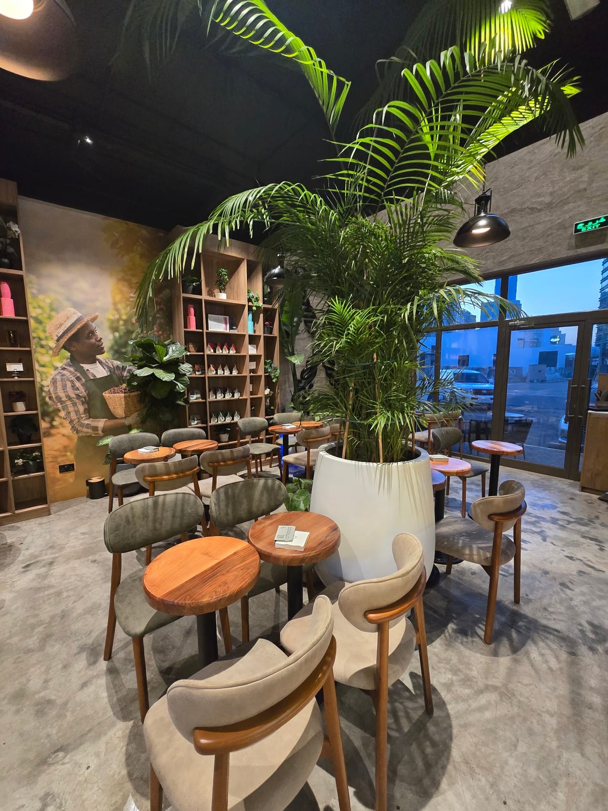 CORTADO CAFE