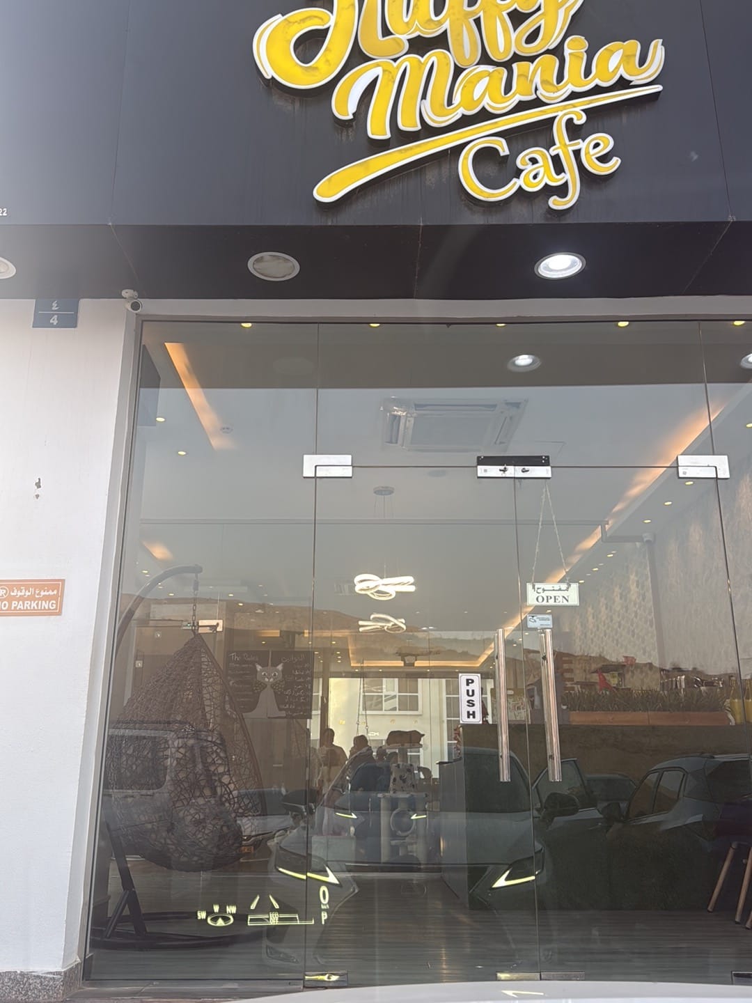 Fluffymania Cat Cafe