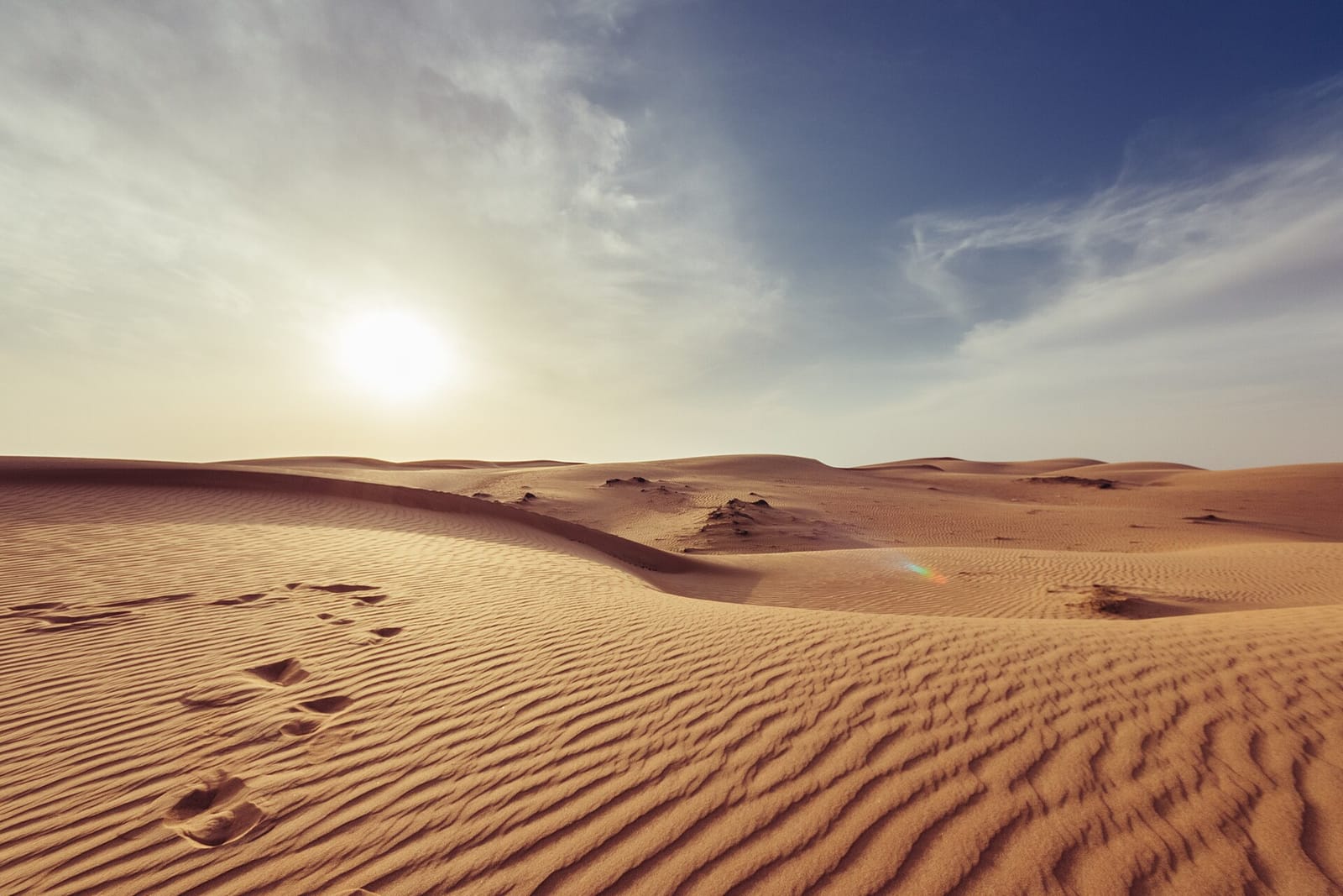 Tim Hortons photo 2