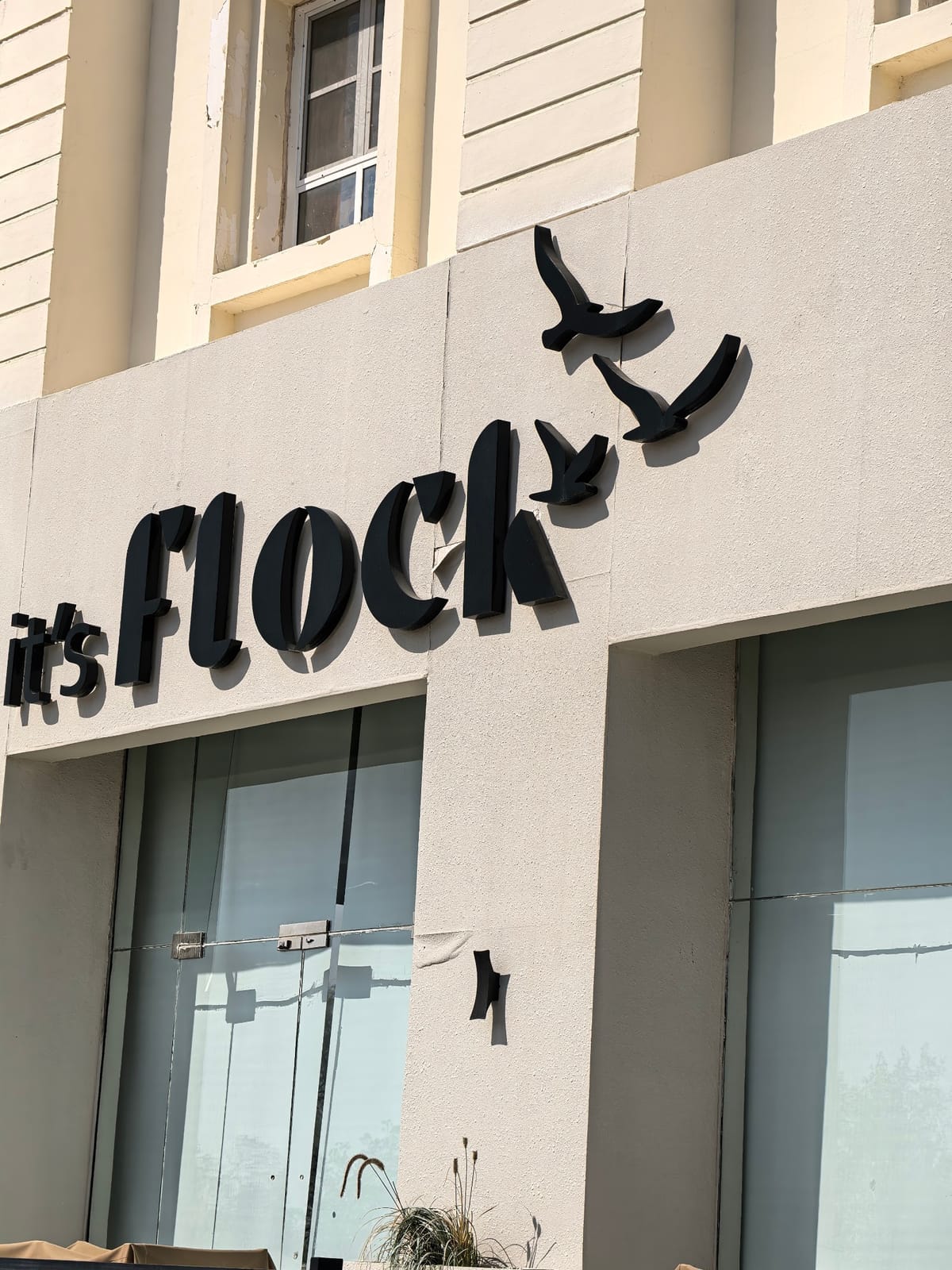 It's Flock café