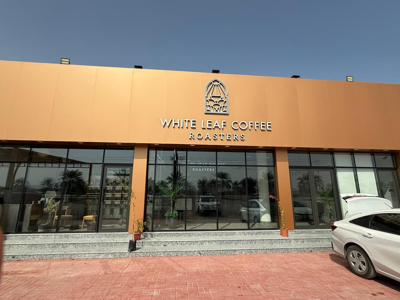 White Leaf Coffee Roasters photo 1