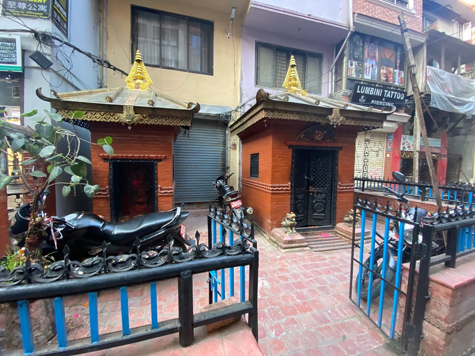 Rise & Grind Coffee - Thamel Dabali Marg photo 3