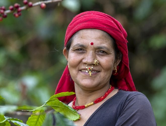 The Coffee Bar by Nepal Coffee Company photo 2