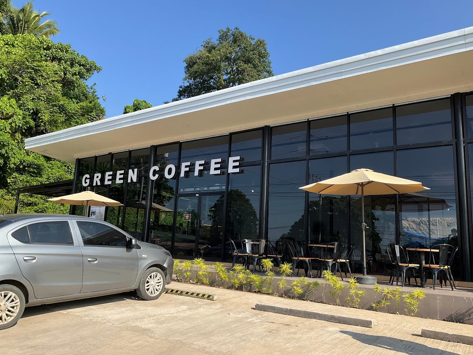 Green Coffee - Diversion