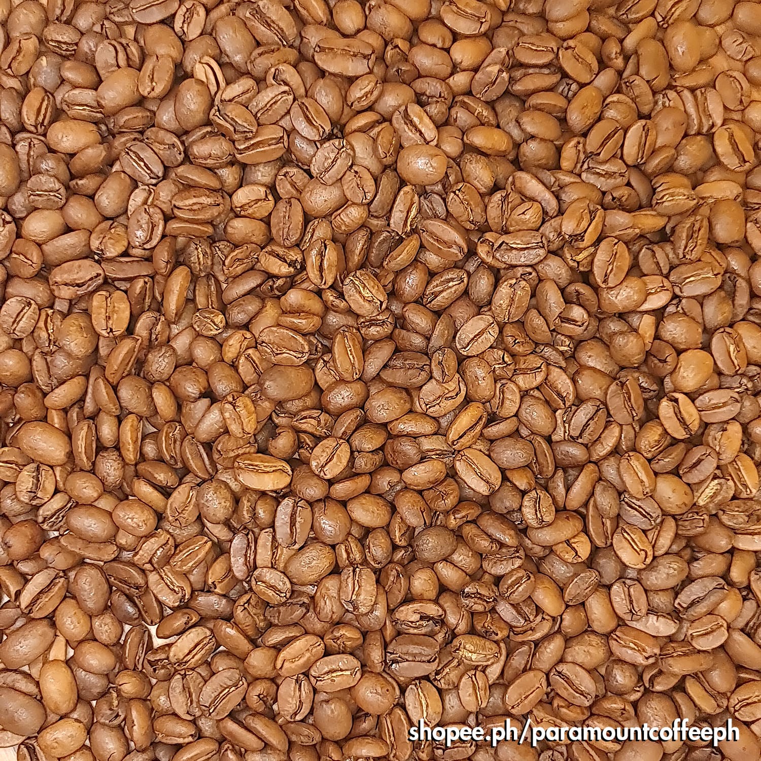PARAMOUNT COFFEE ROASTERS