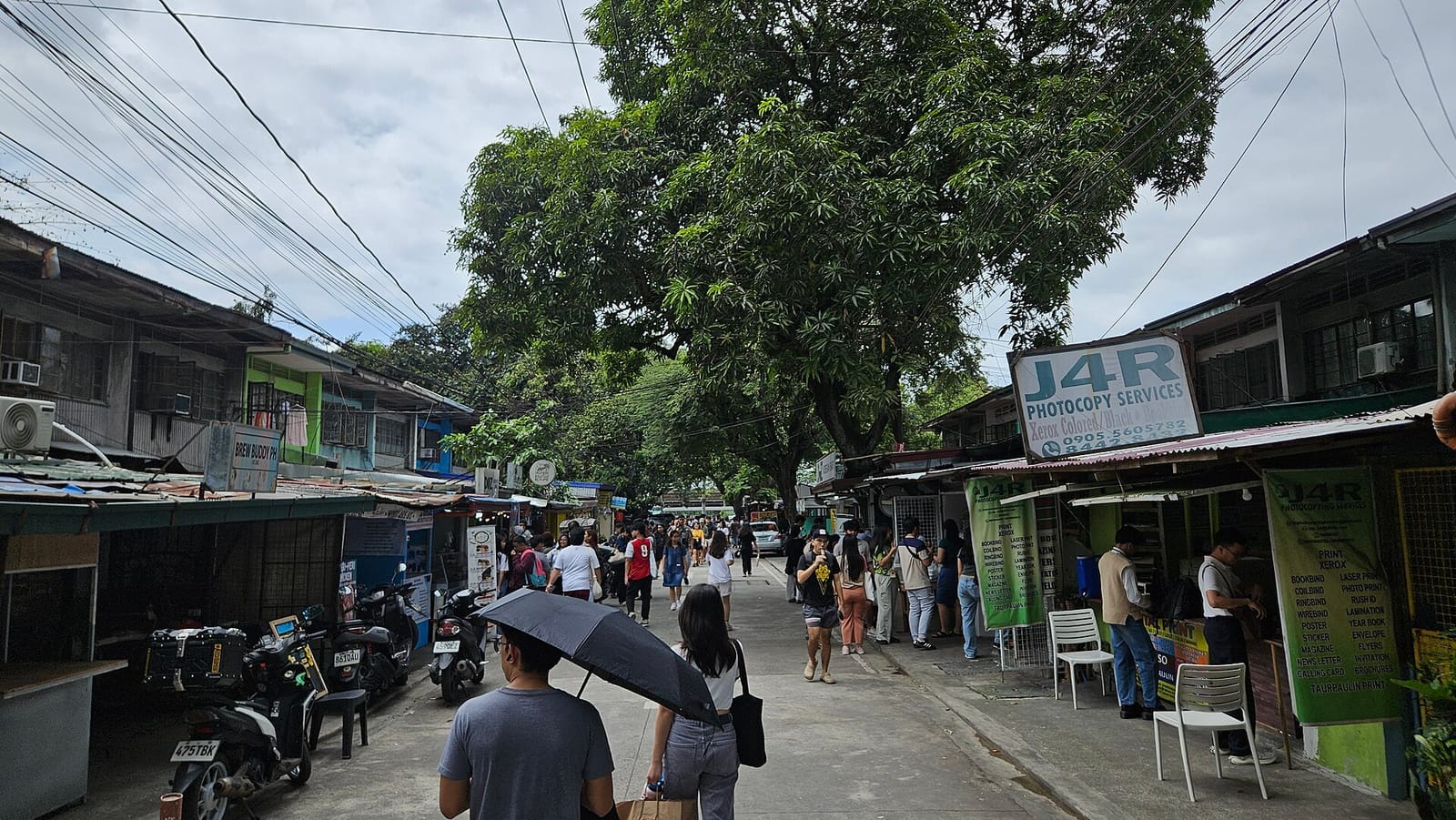 Laya Coffee Diliman photo 2