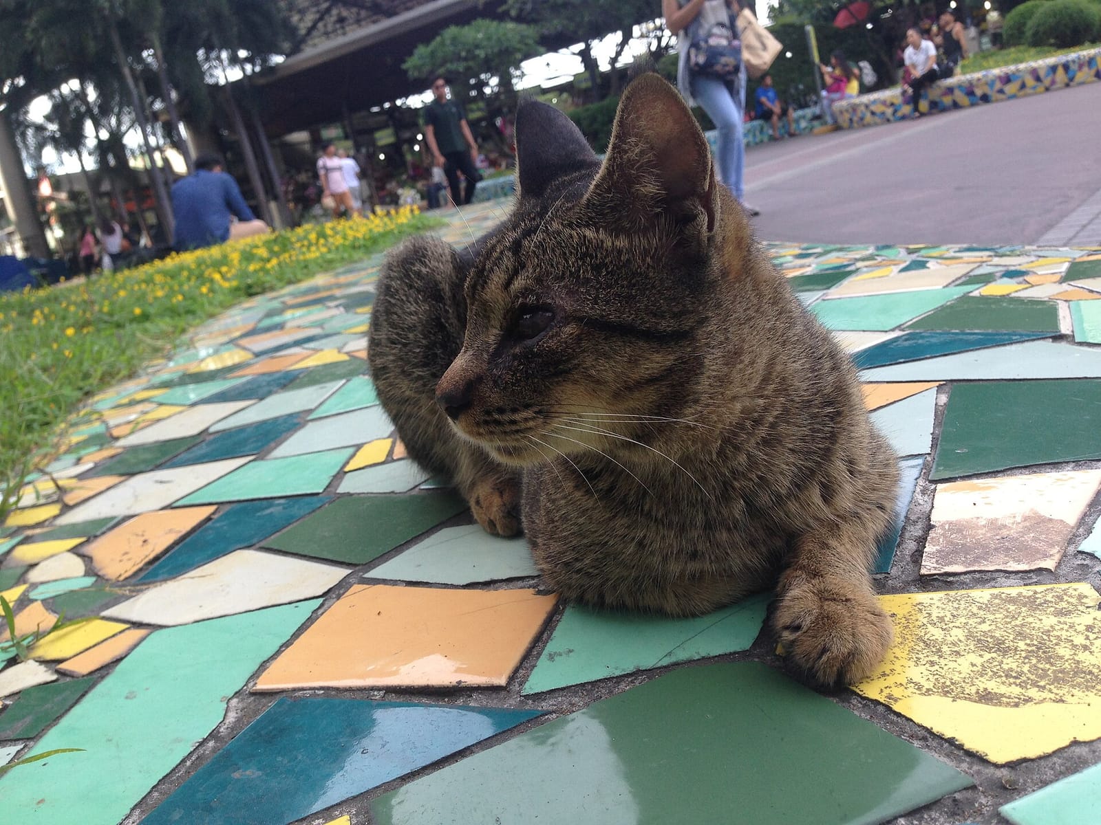 Compose Coffee Market! Market! photo 4