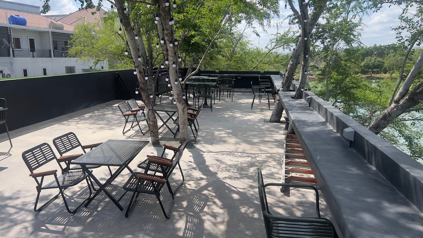 Coffee Tree