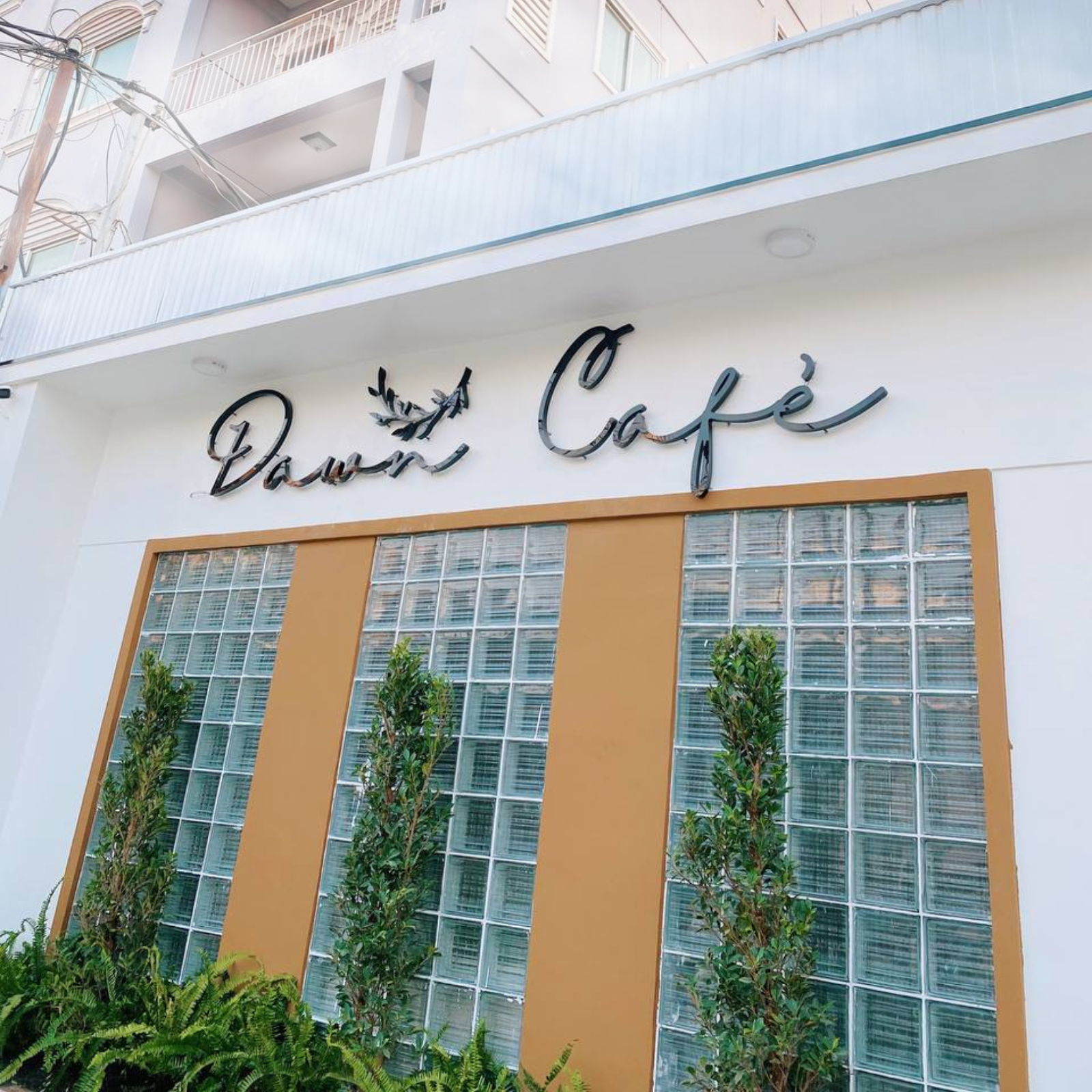Dawn Café