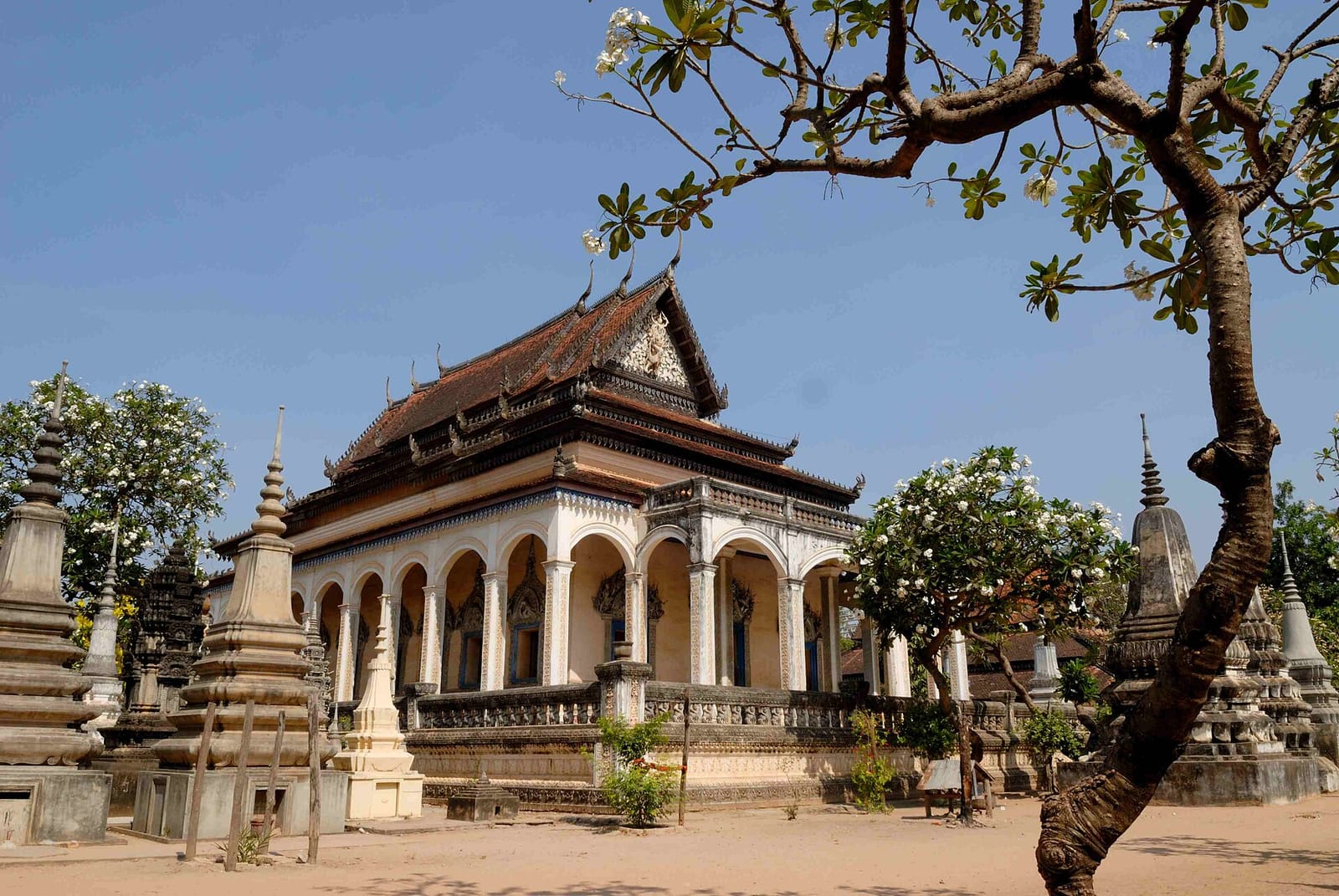 TUBE COFFEE ROYAL RESIDENT GARDEN ANGKOR photo 2