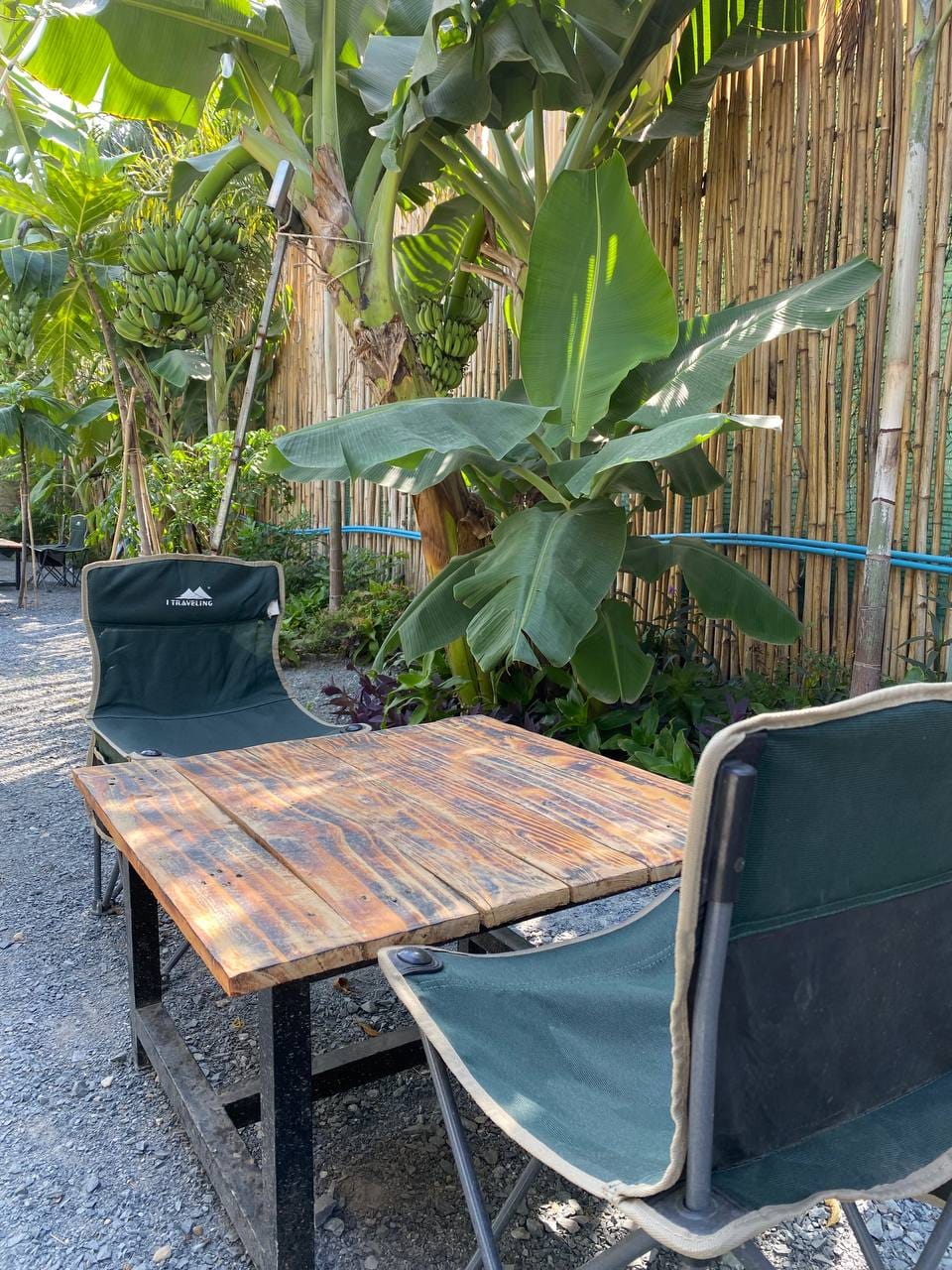 TZONE COFFEE & EATERY