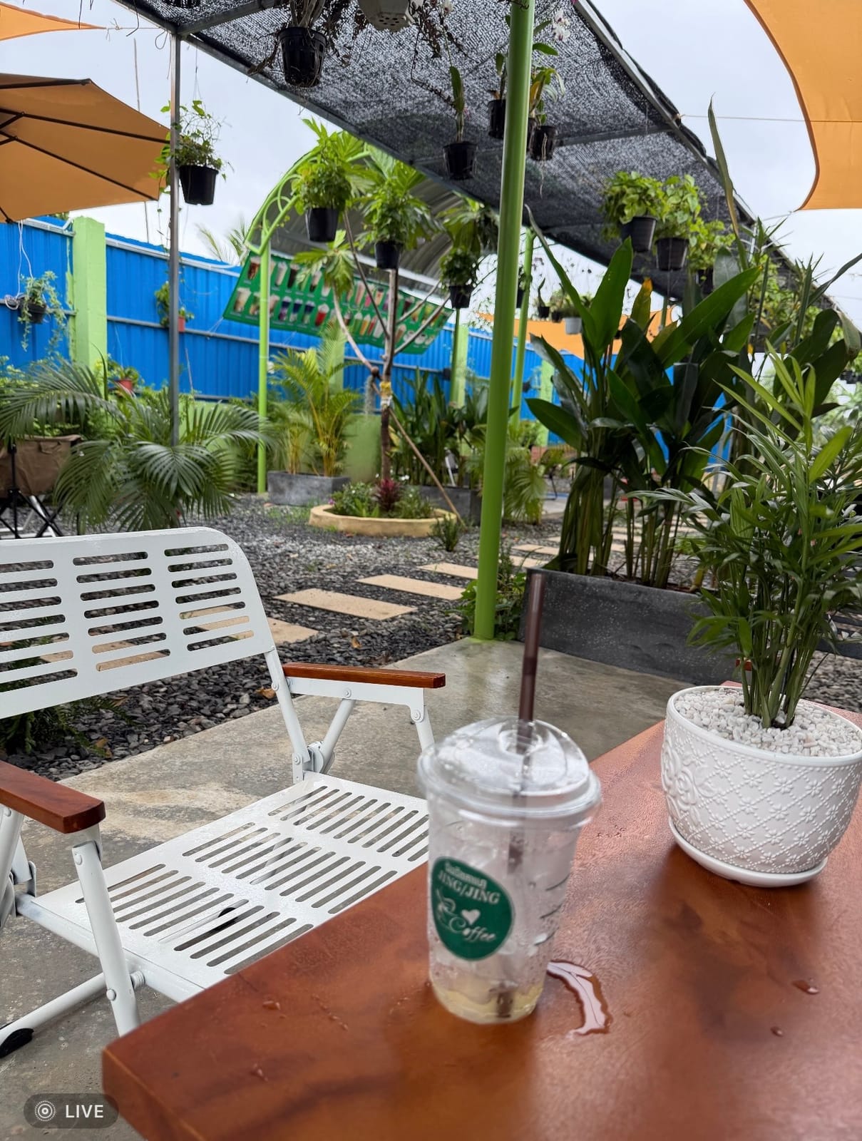 Jing Jing Coffee