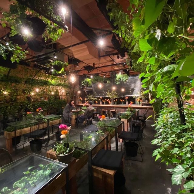 Dorng Steung Cafe