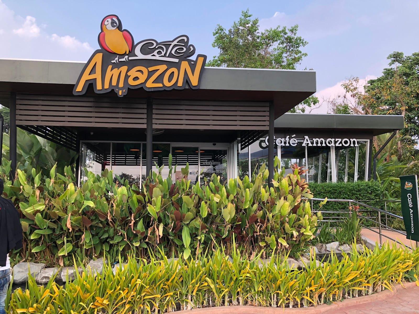 Cafe Amazon