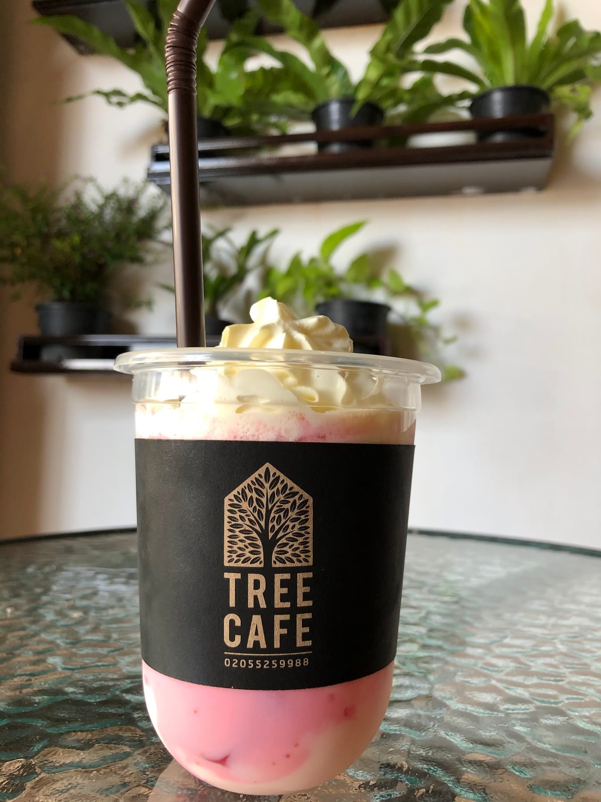 TREE CAFE
