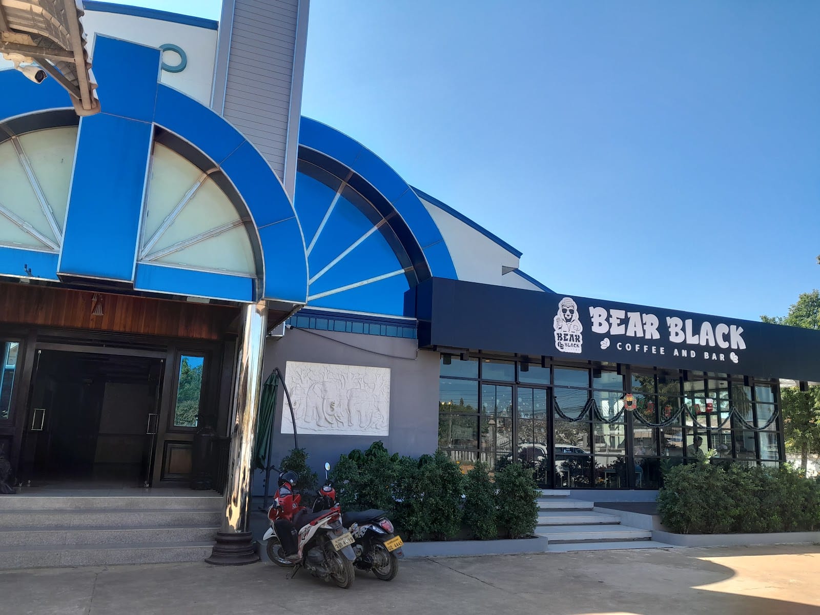 Bear Black Coffee