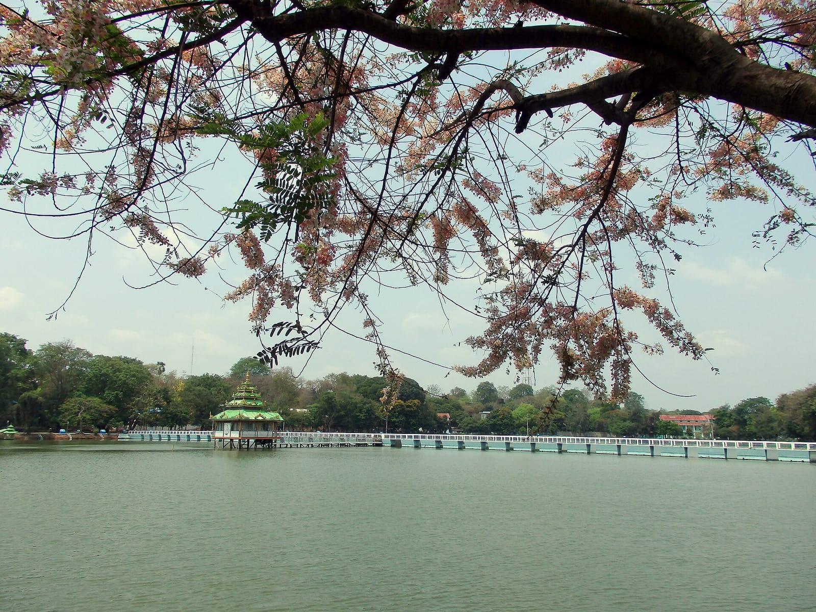 San Taw Mee Tea House & Food Center photo 3