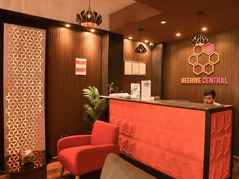 Hive Cafe photo 4