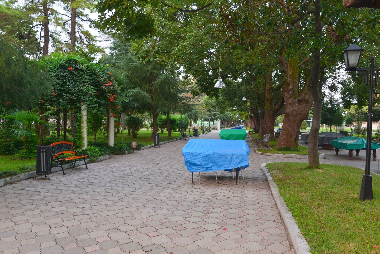cafe amore batumi photo 2