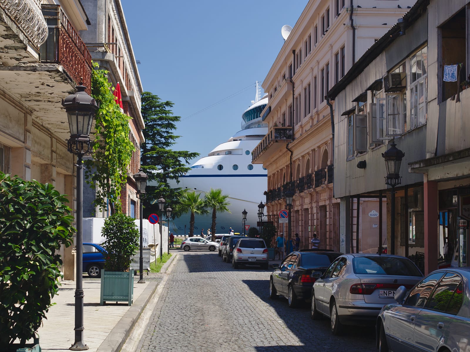 CACAOS photo 3