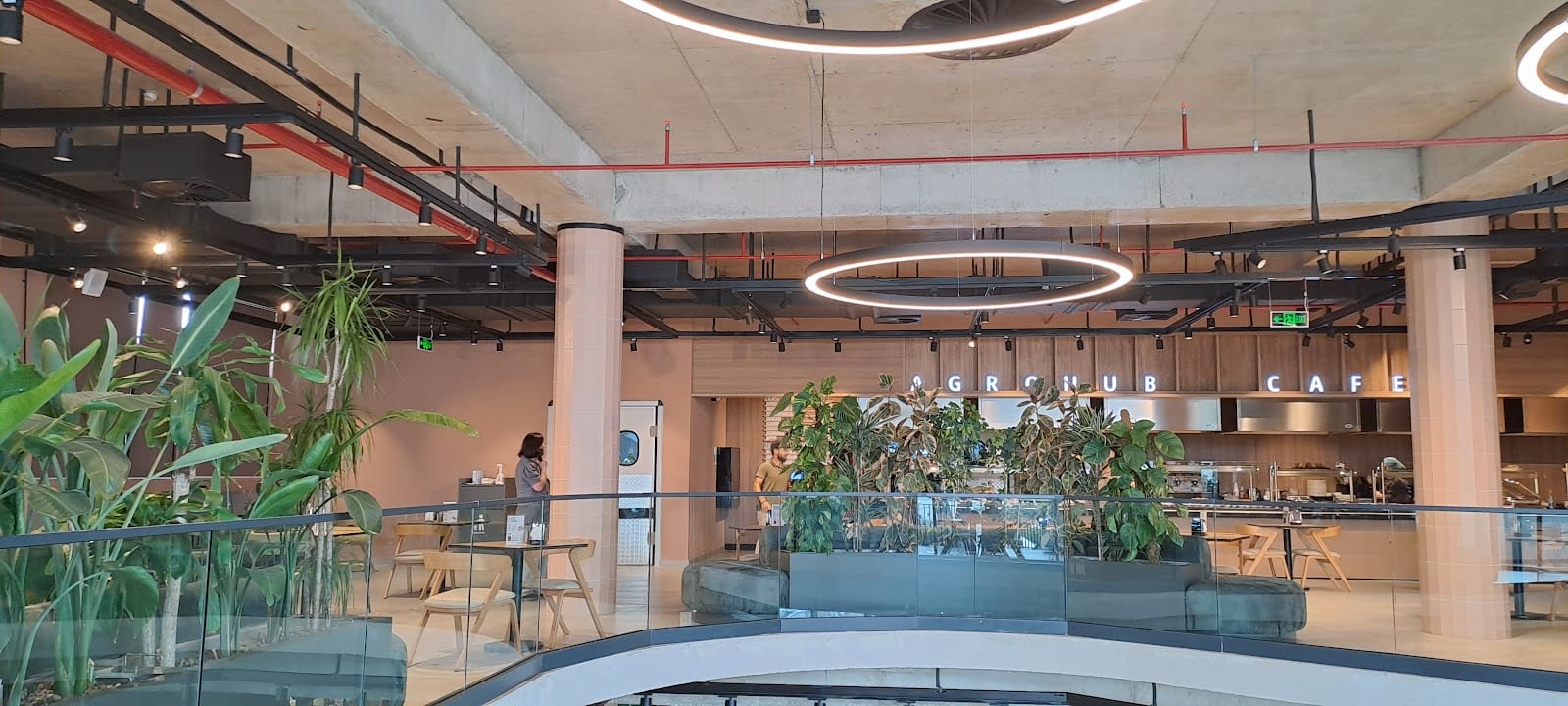 AgroHub Cafe