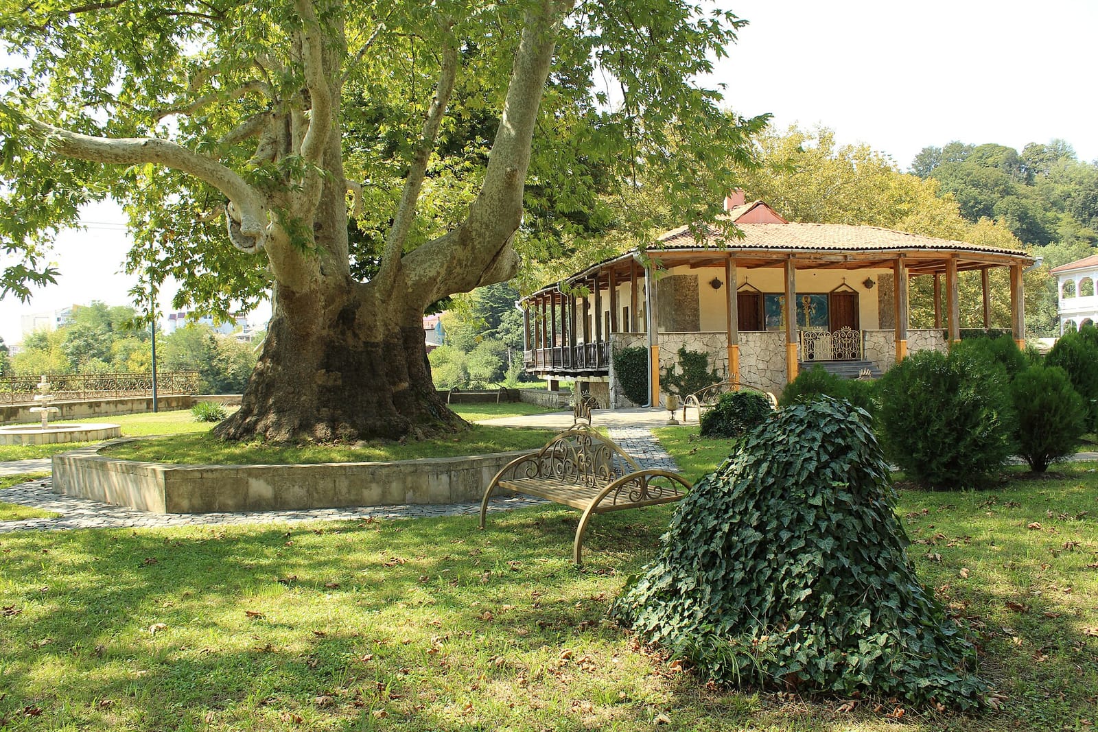 Cafe Argo photo 5