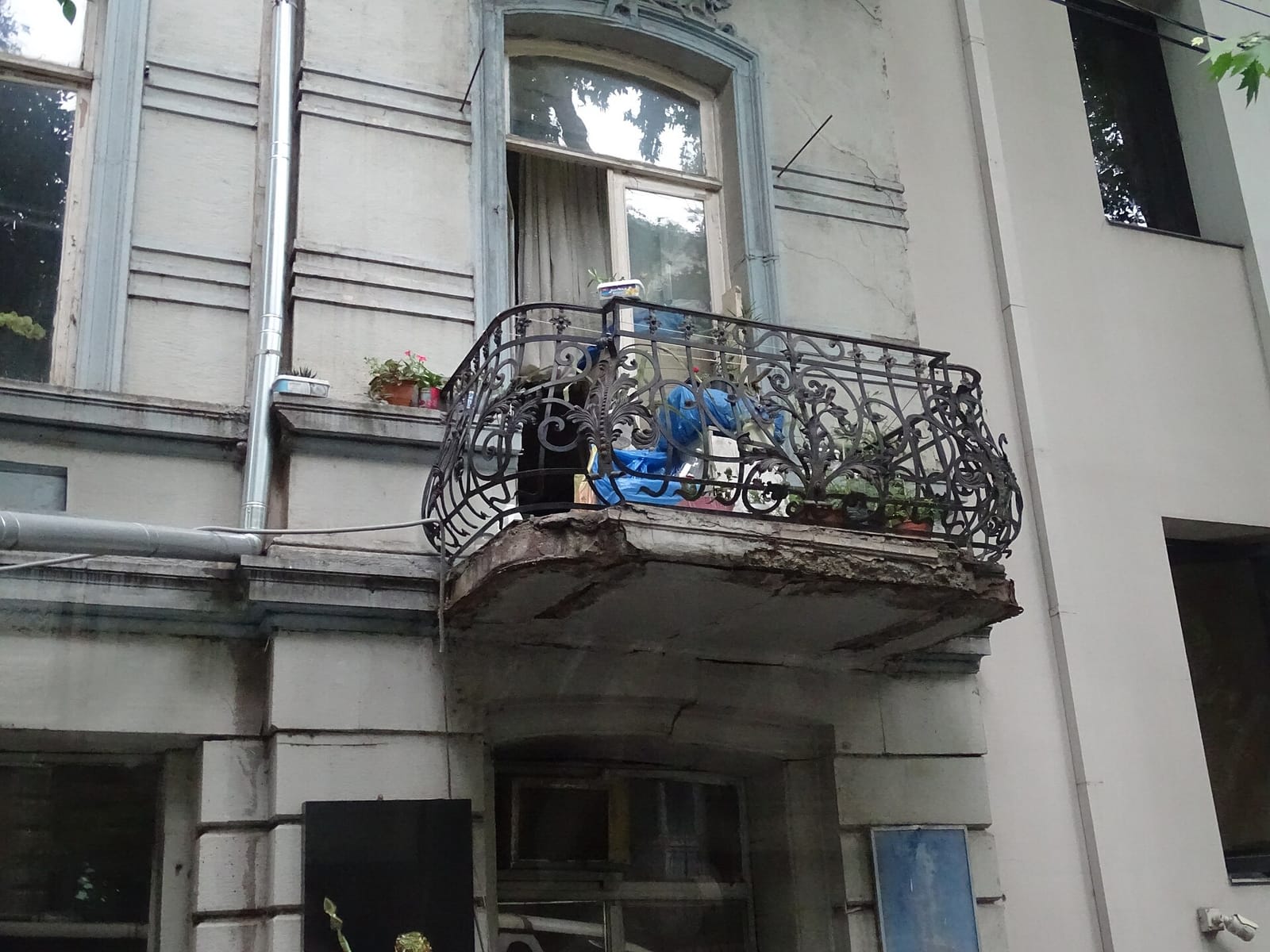 Coffeeshop Company Garden photo 5