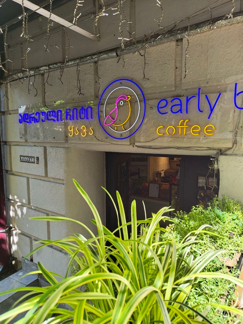 Early Bird Coffee