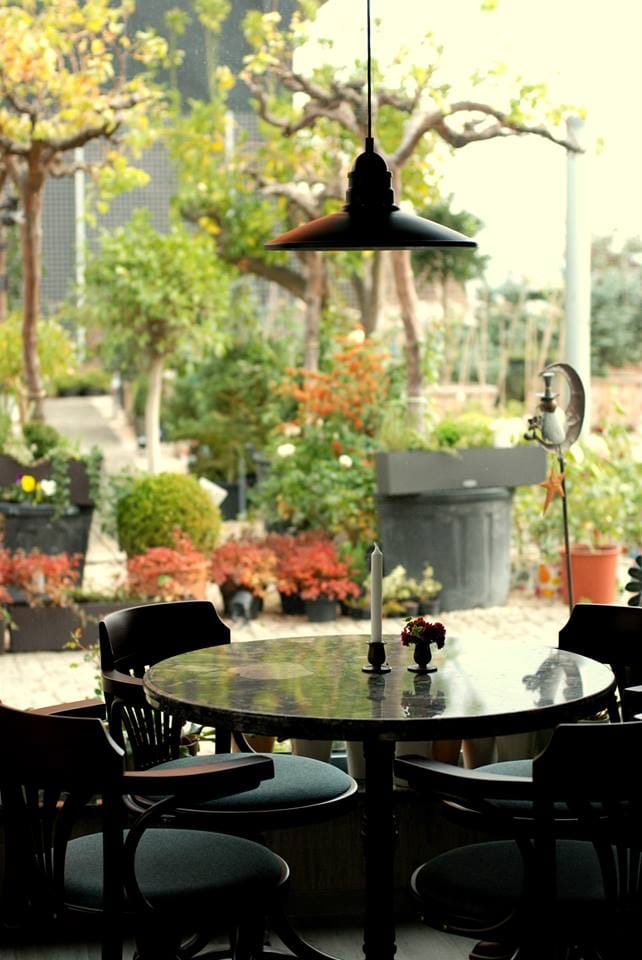 Cafe Verde