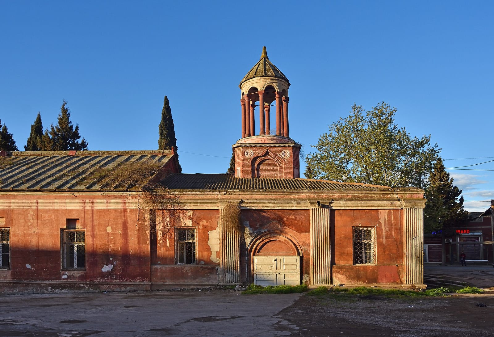 Cardamon photo 2
