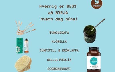 Systrasamlagið photo 4