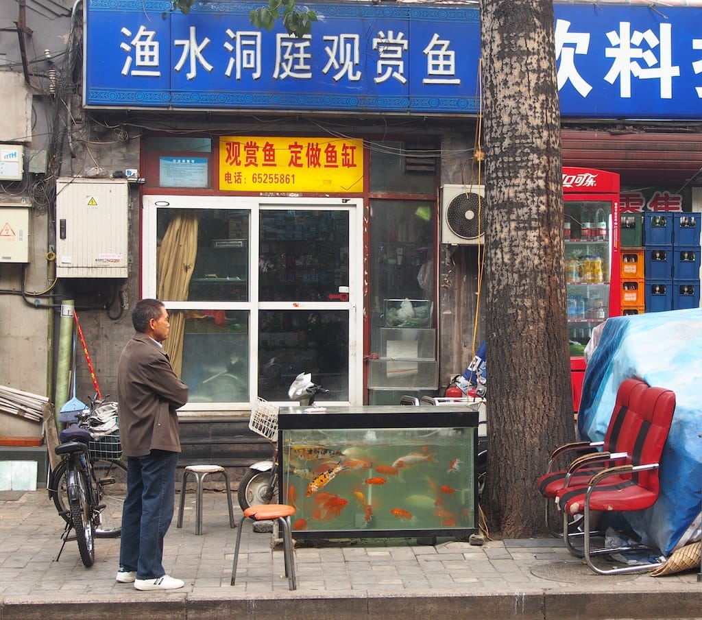 Alley Cafe photo 3