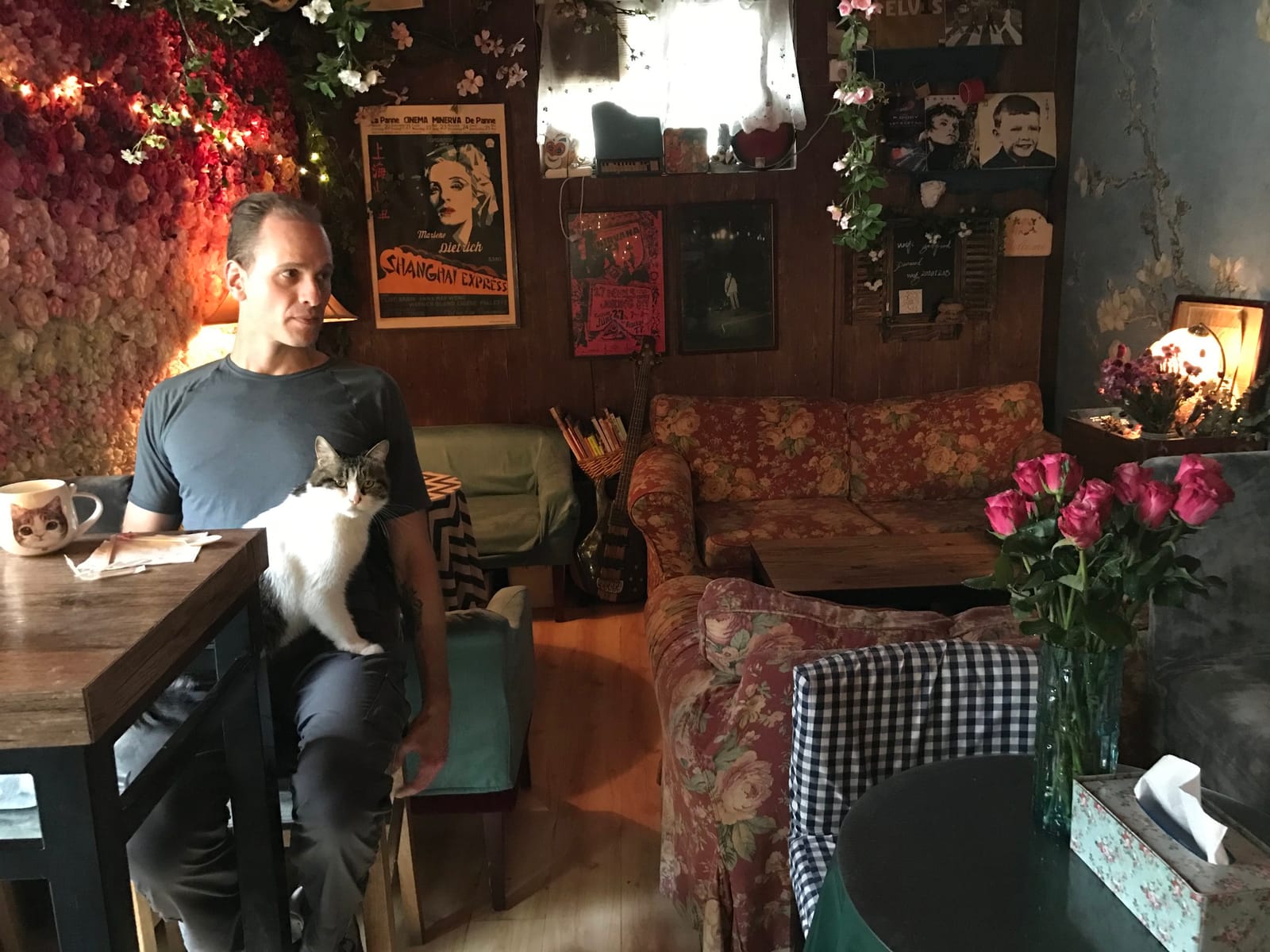 World's End Girlfriend Cat Cafe