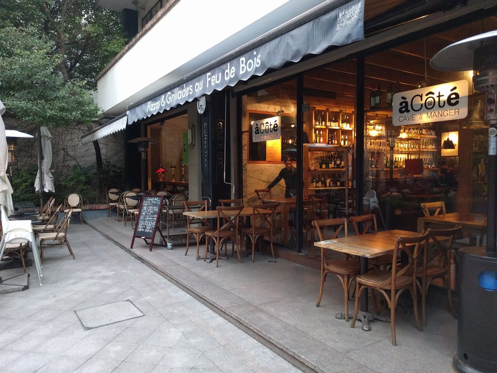Coffee Tree