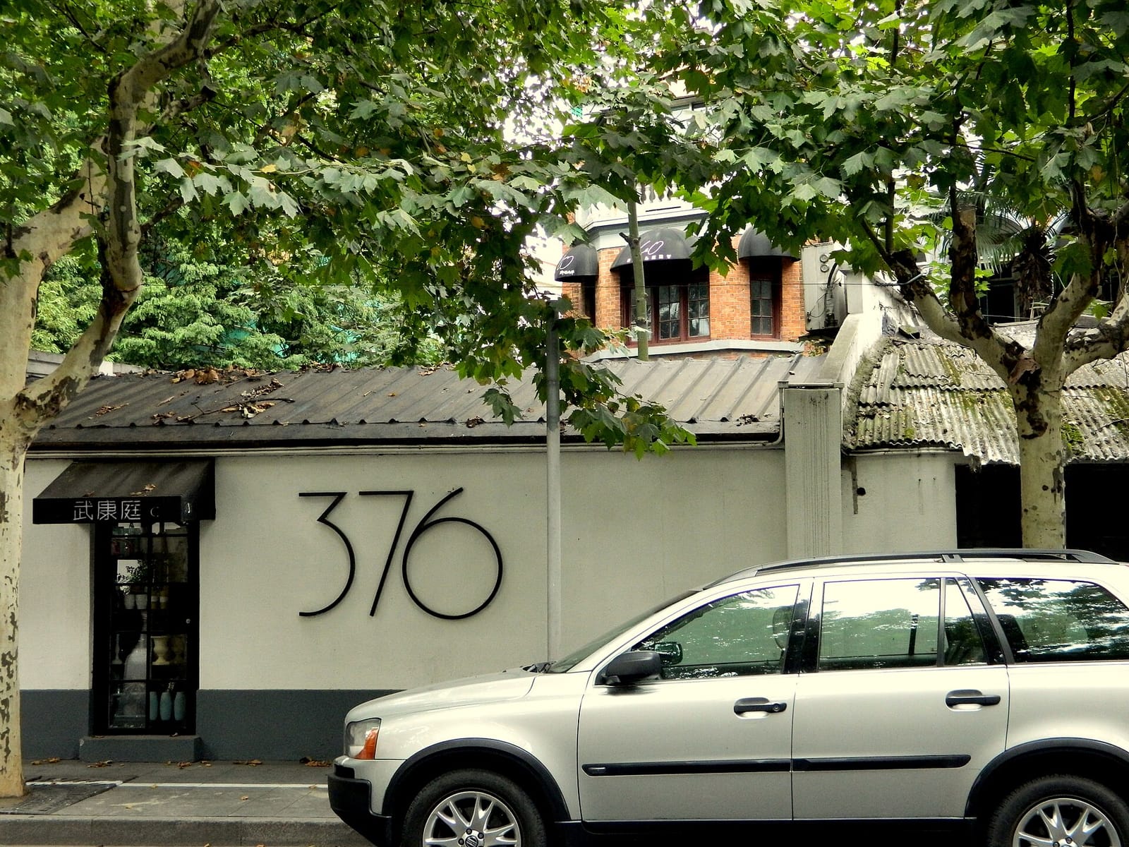 Coffee Tree photo 2