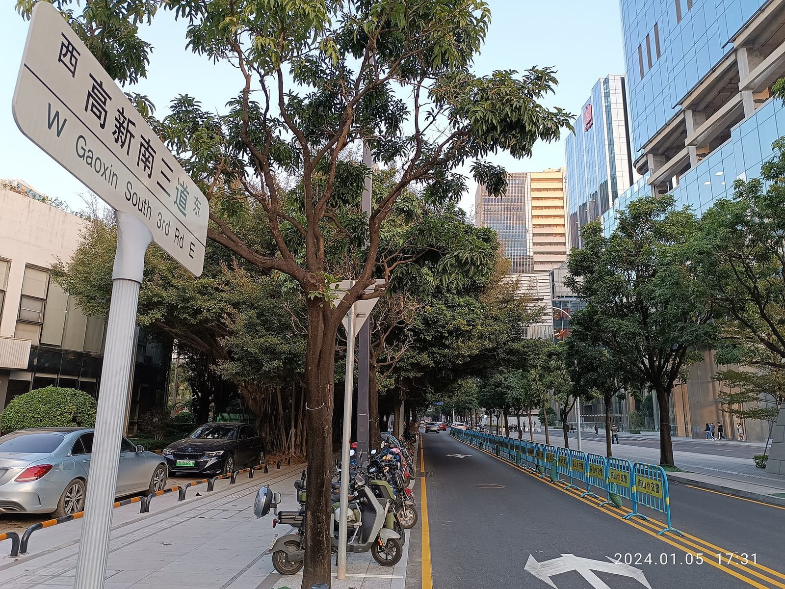 1258 Old Tree Coffee photo 3