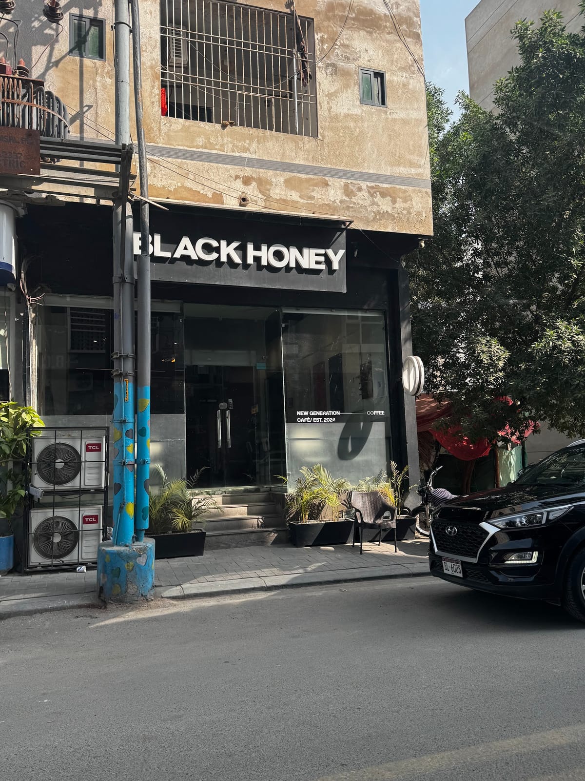 Black Honey