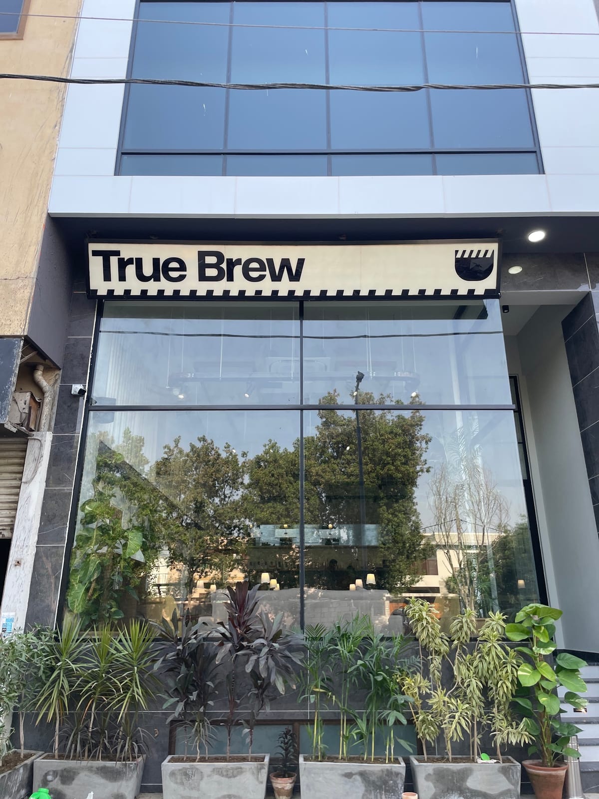 True Brew
