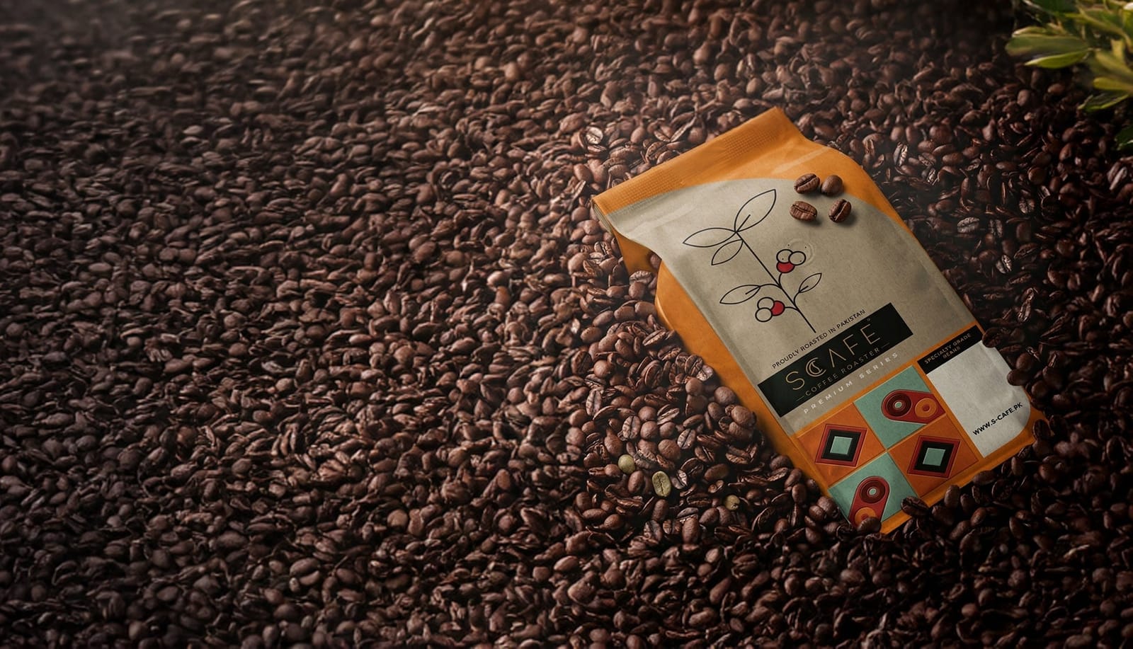 SCAFE Coffee Roaster Lahore photo 7