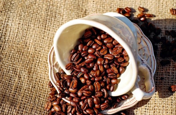 lawkaz Coffee World photo 3