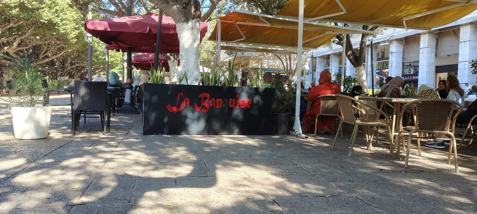 La banquise