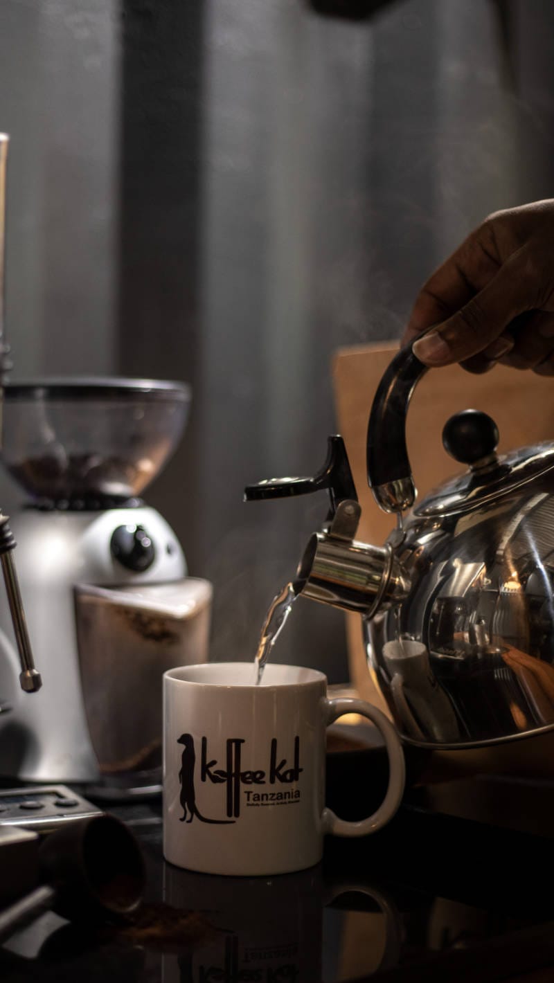 KoffeeKat photo 4
