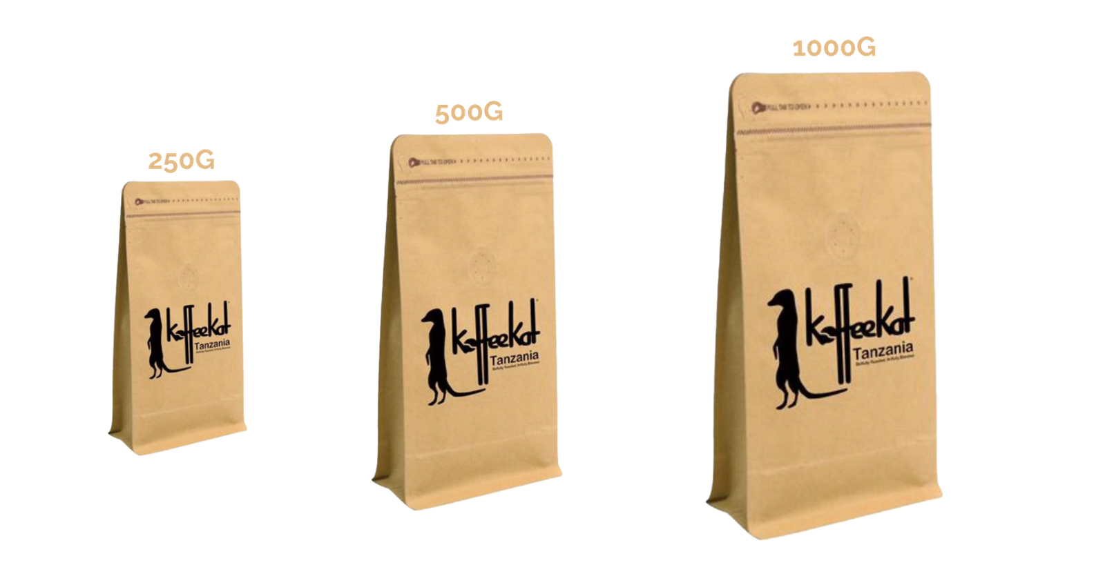 KoffeeKat photo 5