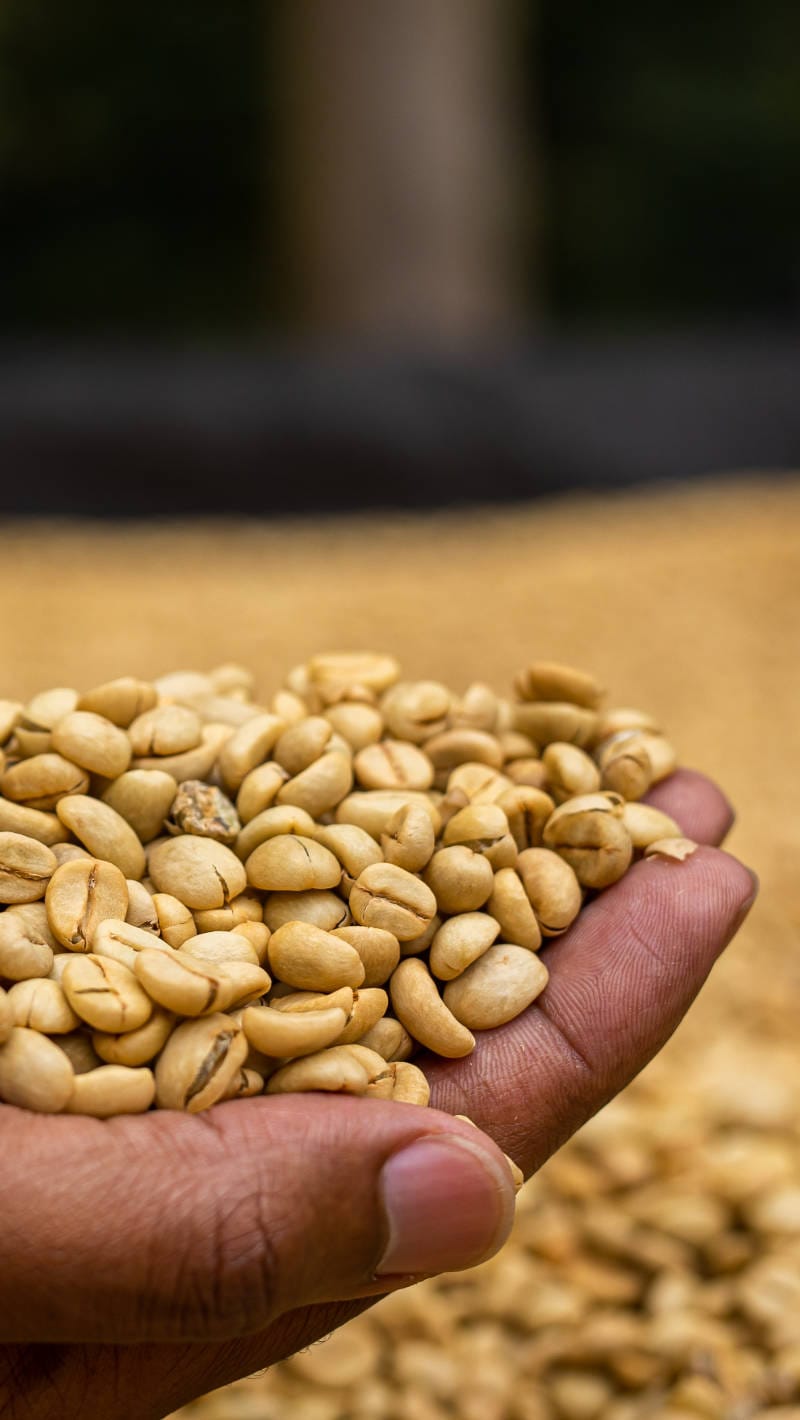 KoffeeKat photo 2