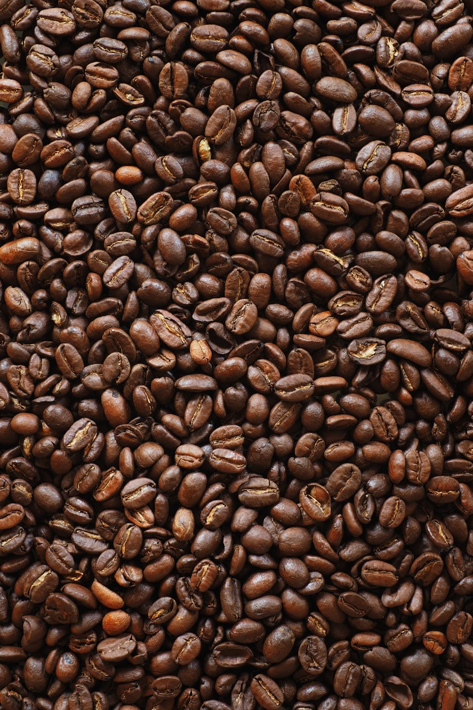 Auresta Coffee Tanzania photo 5