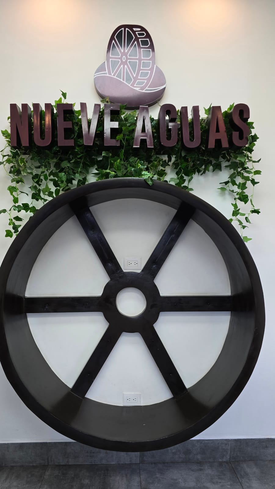 Café Nueve Aguas