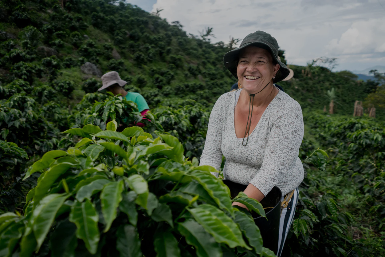 Pasiones Coffee Roasters photo 4